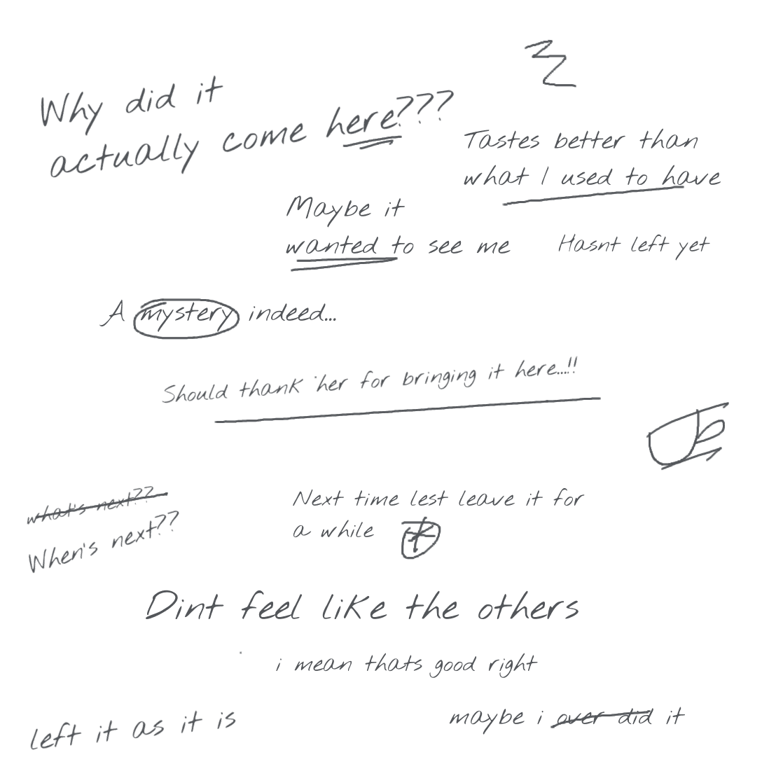 Handwritten note: why did it actually come here? a mystery indeed…