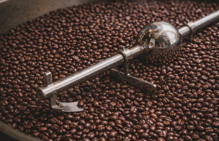 Roasted beans cooling in the drum, drawn through with a metal trier.